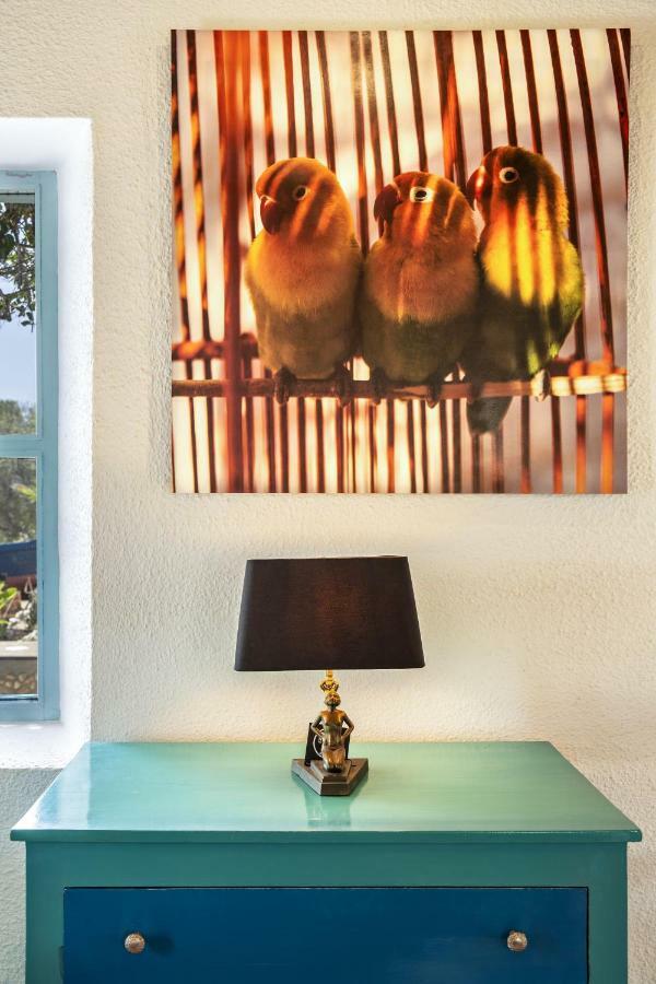 Riad Tamayourt Ocean View & Piscine Chauffee A 30 Essaouira Exteriör bild